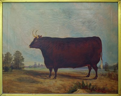 A North Devon Ox in a Landscape by William Carmichael Baker